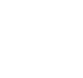 LinkedIn icon