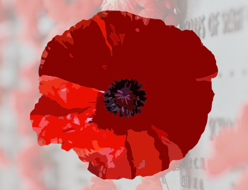 Remembrance Day at Christian Virtual School